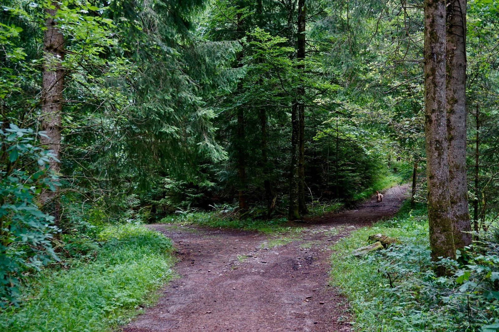 Termine — Praxis Birgit Kretzschmar
